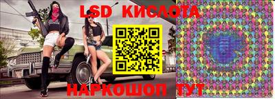 молекула духа Новозыбков