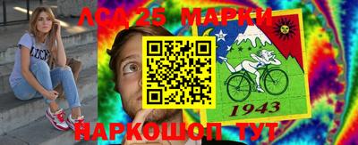 молекула духа Новозыбков