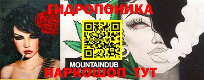 молекула духа Новозыбков