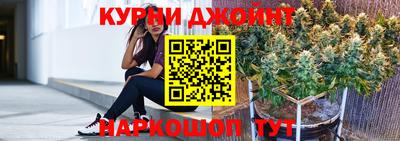 молекула духа Новозыбков