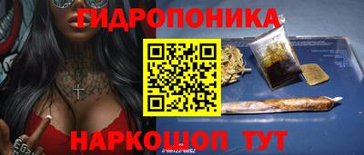 молекула духа Новозыбков