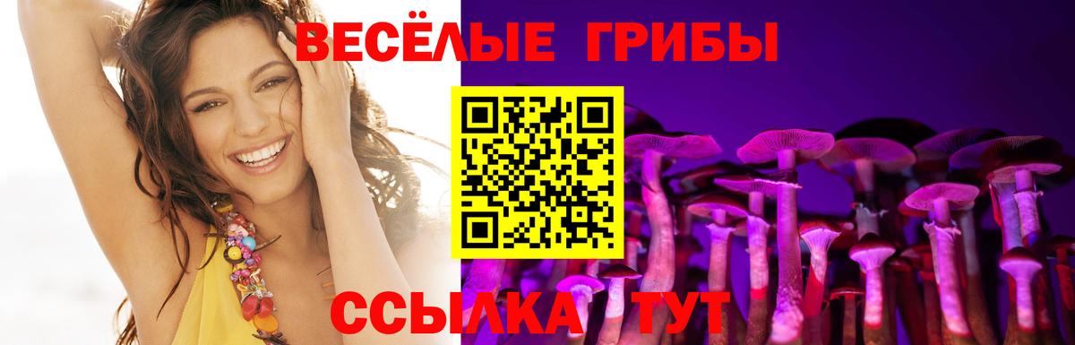Галлюциногенные грибы Cubensis  Вход с VPN  Псилоцибиновые грибы GOLDEN TEACHER  Рассказово 
